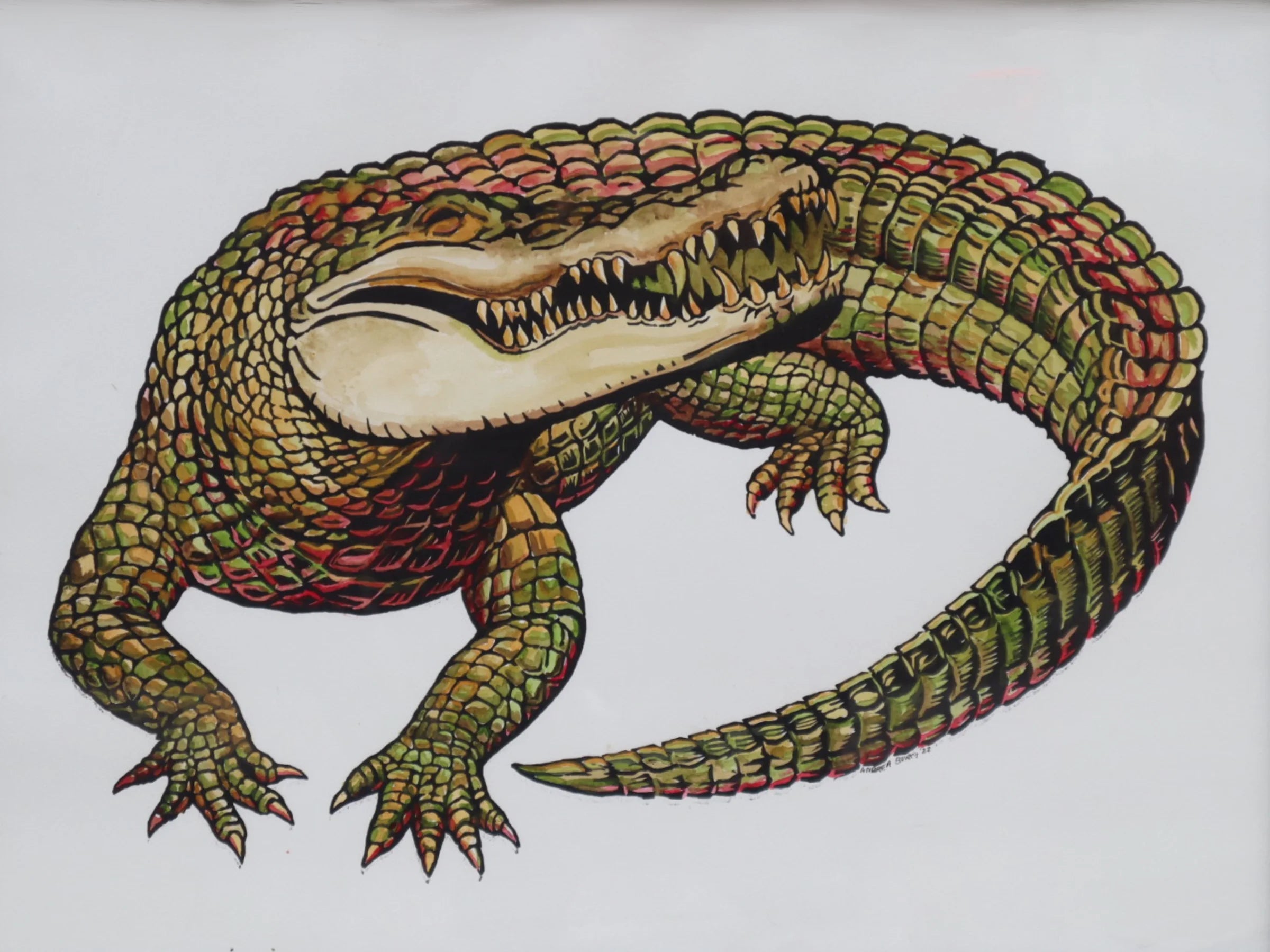 A green and gold crocodile with an open mouth and curled tail, on white paper.